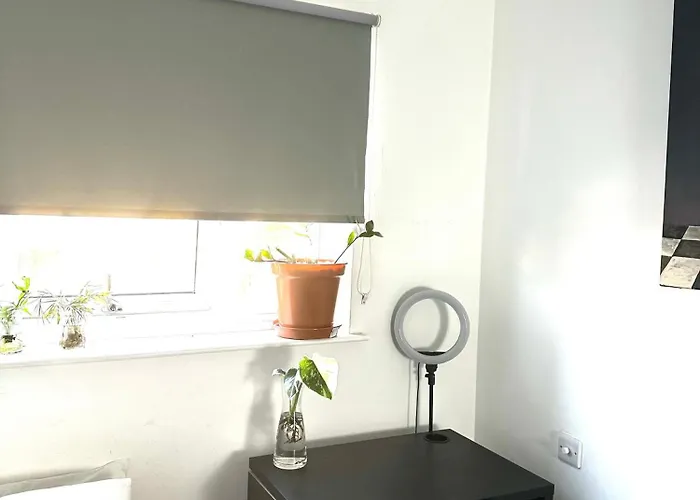 Cosy Space Away From Homestay Bristol